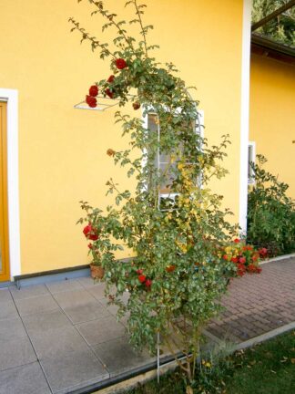 rosenbogen-bramsteidl-003-324x432