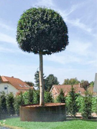 cortenstahl-bramsteidl-007-324x432