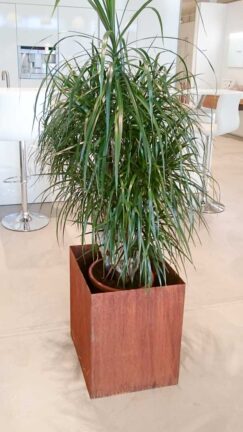 cortenstahl-bramsteidl-022-243x432